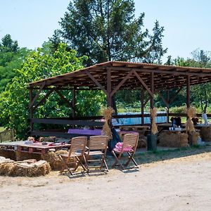 Agriturismo Why Farm Marano Ticino Exterior photo