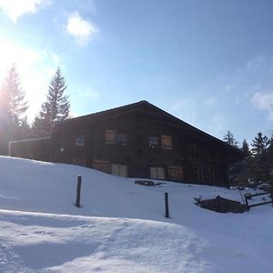 Romantisches Plaetzchen In Der Natur Grindelwald Exterior photo