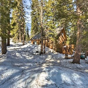 Bear Valley Cabin - Ski To Cross Country Trails! Tamarack Exterior photo