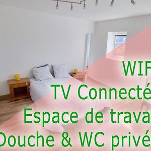 Studio - Le Petit Chateau Avesnois - Tv - Wifi - Sdb Privee - Cuisine Partagee Avesnes-sur-Helpe Exterior photo