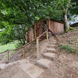 Tree House Aberaeron Exterior photo