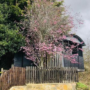 The Cherry Tree Gypsy Wagon Banbury Exterior photo