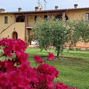 Il Chiassetto Agriturismo No Kids Cascina Exterior photo