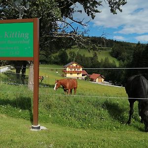 Urlaub Am Bauernhof Familie Kitting Vorau Exterior photo