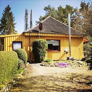 Gelbes Haus Bei Mardorf Am Steinhuder Meer Rehburg-Loccum Exterior photo