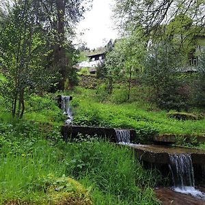 Wohn-Eitel Sonnenblick Bad Wildbad Exterior photo