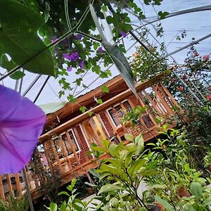 Cabana En Vivero, Dota, Jardin Jardín Exterior photo