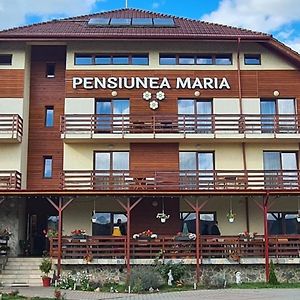 Pensiunea Maria Gilău Exterior photo