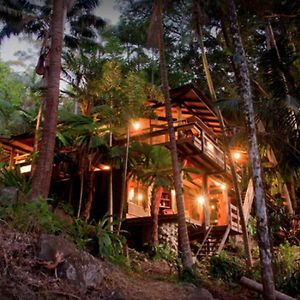 Currumbin Rainforest Treehouse Currumbin Valley Exterior photo