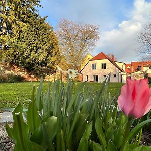 Om Yoga Center Slovenska Bistrica Exterior photo