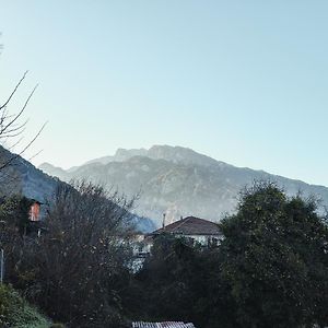 Mountain View Konitsa Exterior photo