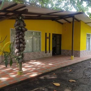 Cabana En La Playa Punta Bolivar San Antero Exterior photo