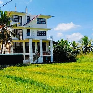 Freedom Of Green Rice View Anuradhapura Exterior photo