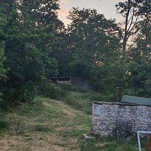 Ancien Relais De Chasse Le Lude Exterior photo