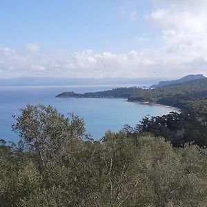 Porquerolles - Nuit insolite à bord du Défi Fou Exterior photo