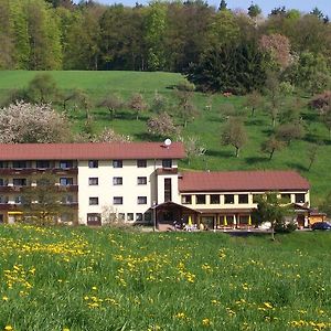 Dornroeschen Höchst im Odenwald Exterior photo