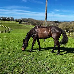 Byre - Farm Cottage On 9 Acre Equestrian Small Holding Salisbury Exterior photo