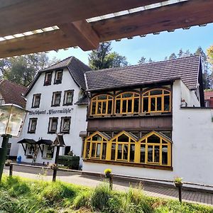 Waldhotel Pfarrmuehle Eisenberg (Thuringia) Exterior photo