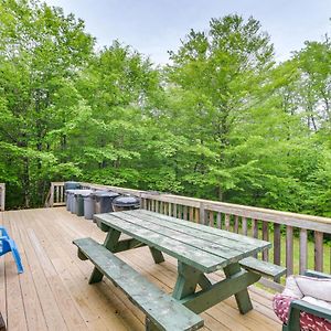 Secluded Harmony Cabin With Deck, Dock, Boats! Exterior photo