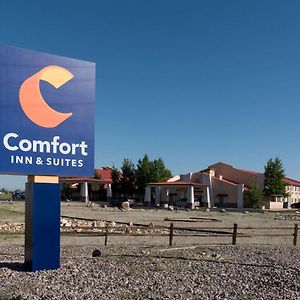 Comfort Inn & Suites Alamosa Exterior photo