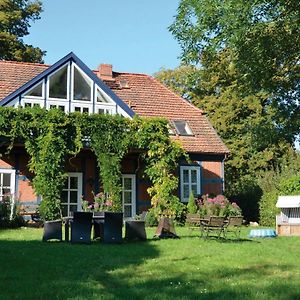 Deb 044 Historisches Bauernhaus Mit Sauna U Whirlpool Lenzen Exterior photo