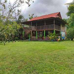 Hostal Flor Tayrona Santa Marta (Magdalena) Exterior photo