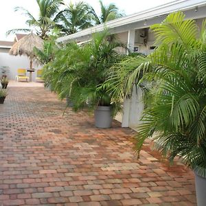 Dancing Iguanas Eagle Beach Exterior photo