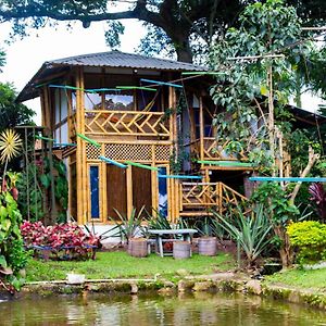 Casa Del Arbol, Romantico, Piscina, En Chinauta, El Mejor Clima El Michu Exterior photo