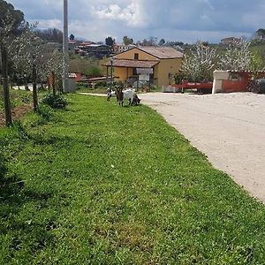 Agriturismo San Tommaso Ariano Irpino Exterior photo