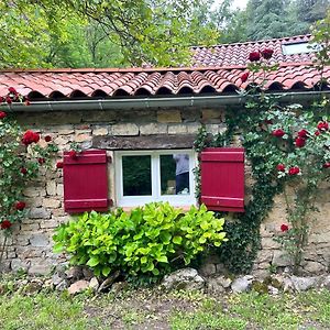 Chambre En Bordure D'Aveyron Saint-Antonin Exterior photo