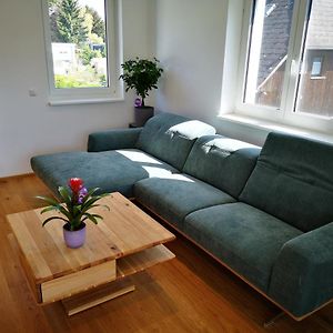 Spacy Apartment Next To The Center Of Graz With Terrasse Exterior photo