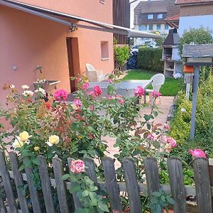 Bnb Les Oiseaux, Chez Lidia, 26M2 A 44M2, 2Eme Etage Vendlincourt Exterior photo