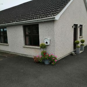 Lynn'S Lodge, International Airport 15Mins Randalstown Exterior photo