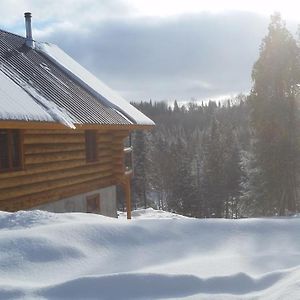 Chalet Bois Rond Aux Paysages Uniques Avec Spa ! Lac-aux-Sables Exterior photo