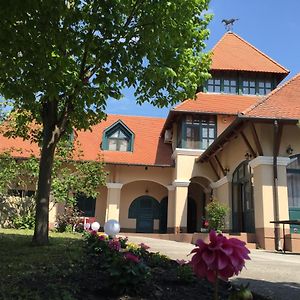 Garden Panzio Balatonkeresztúr Exterior photo