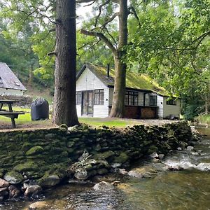 Cuckoo Cabin, Tyn Y Cwm Eglwys-Fach Exterior photo