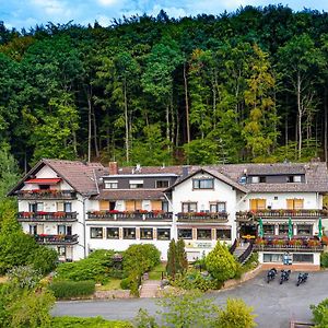 Gasthof-Hotel Laermfeuer Rohrbach (Odenwald) Exterior photo