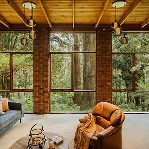 Modern Seednest Treehouse, Forest & Mountain View Sassafras Exterior photo