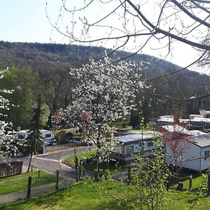 Camping Officiel Wollefsschlucht Echternach Exterior photo