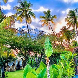 Majo Lounge Dans Un Jardin Tropical A 5 Min De La Mer Caraibe Saint-Pierre Exterior photo