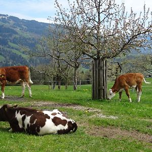 Achrainer-Moosen Hopfgarten im Brixental Exterior photo