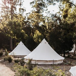 Bay Of Fires Bush Retreat Binalong Bay Exterior photo