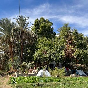 Salatoos Mango Camp Aswan Exterior photo