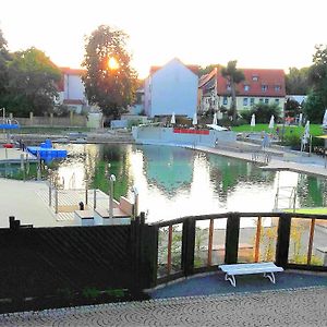 Ferienhaus Strauss Nahe Der Kyffhaeuser Therme Bad Frankenhausen Exterior photo