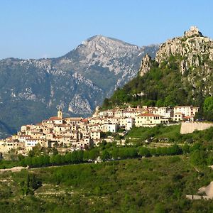 Sejour En Pleine Nature, Vue Imprenable, Jacuzzi Contes (Alpes-Maritimes) Exterior photo