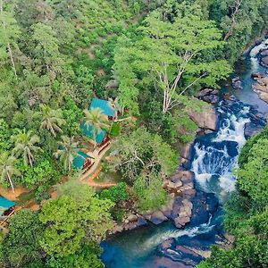 The Rainforest Hideaway Deniyaya Exterior photo