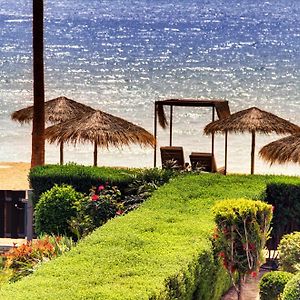 Luxury Beachfront Villa With Private Pool, Yoga & Sea Adventures Lárnaca Exterior photo