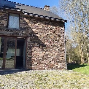 Petite Maison Tranquille Campagne - Nature Bains-sur-Oust Exterior photo