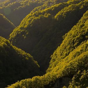 Wild Valley Forest View 3 In Valle Onsernone Vergeletto Exterior photo