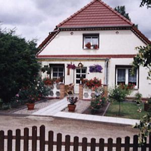 Fewo Tannenhof Dahmen (Mecklenburg-Vorpommern) Exterior photo